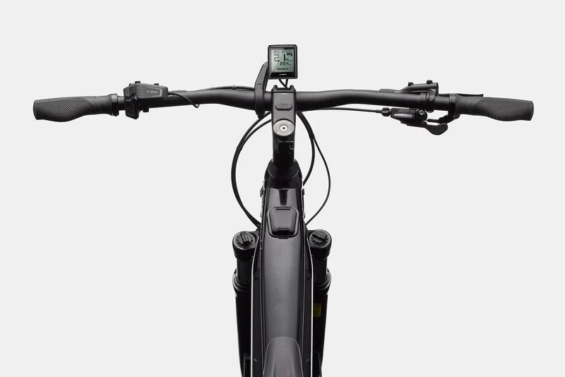 Cannondale Tesoro Neo X 2 mantis