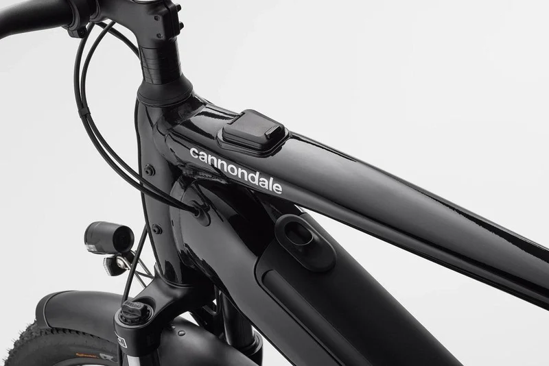 Cannondale Tesoro Neo X 2 mantis