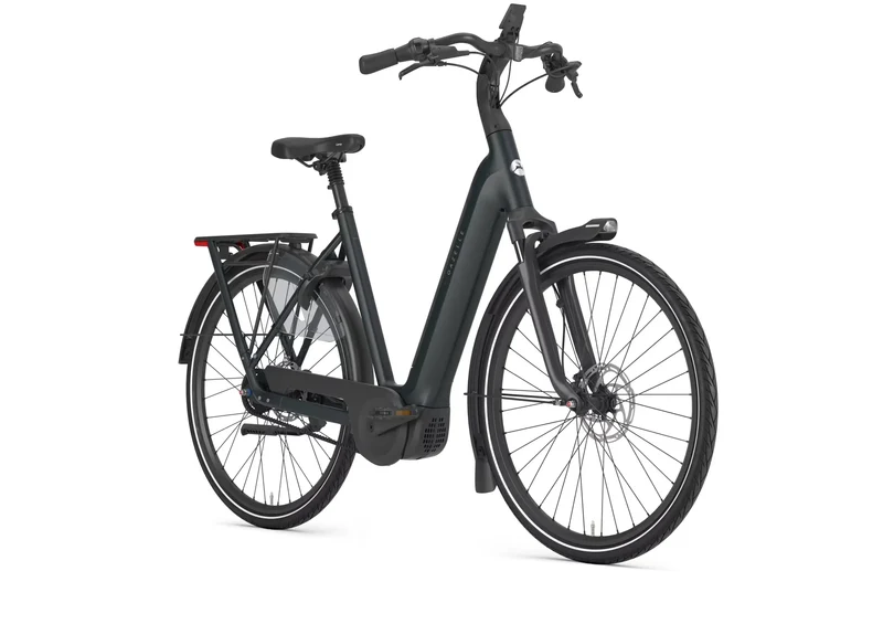 Gazelle Arroyo C5+ Elite 540 teal grey EE 2027