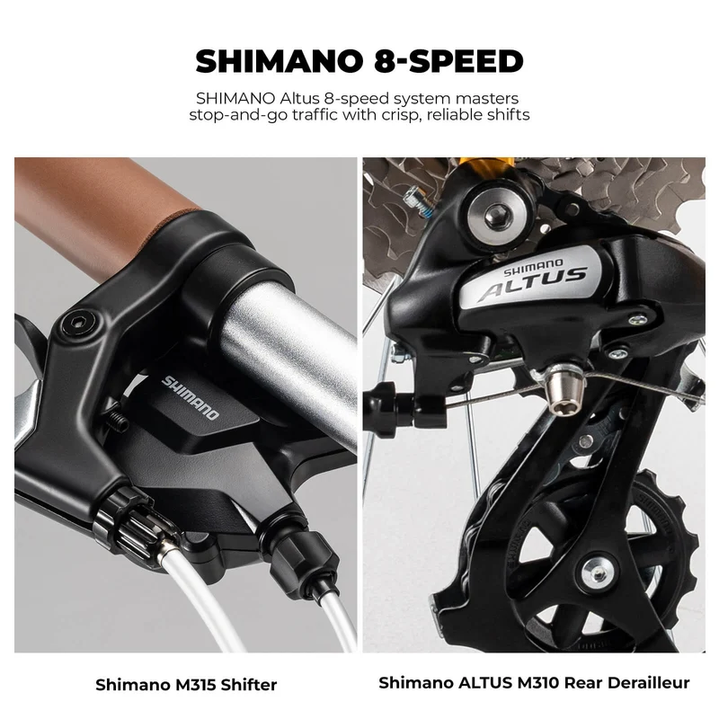 VDS 20 Inch Folding Bike