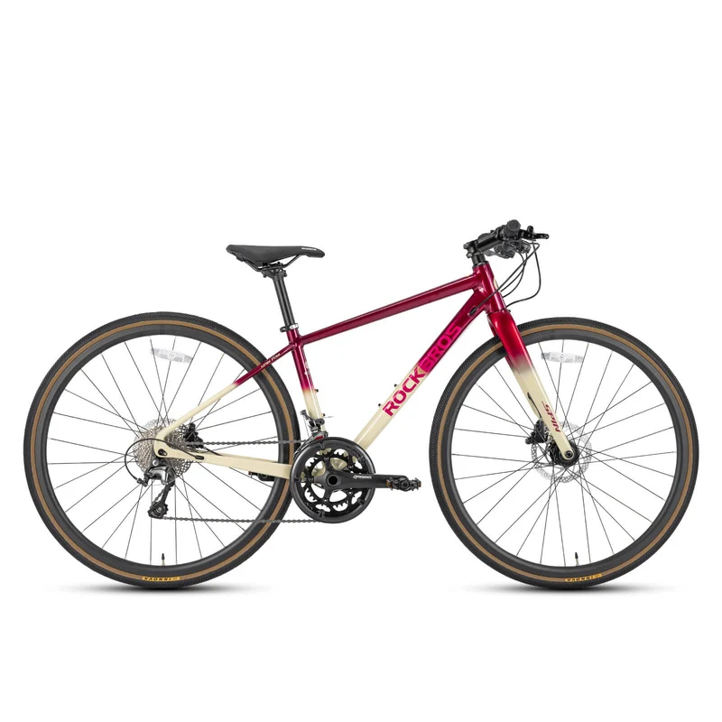 SPIN-P2M 700C Road Bike