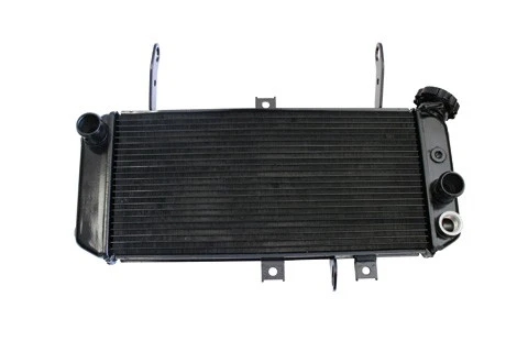 Angepasster Wasserkühler SUZUKI SV650 2003-2015