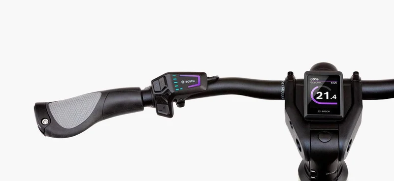 Riese & Müller Multicharger2 GT vario 750Wh +250Wh Kiox300 petrol/black matt
