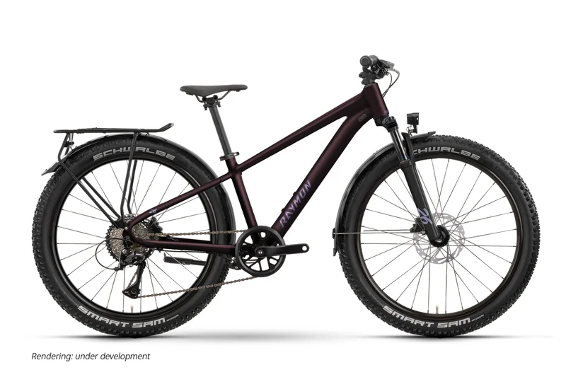 Raymon Nayta 26 Pro Street 8S Acera floridplum 2026