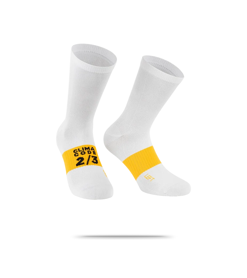 Spring Fall EVO Socks