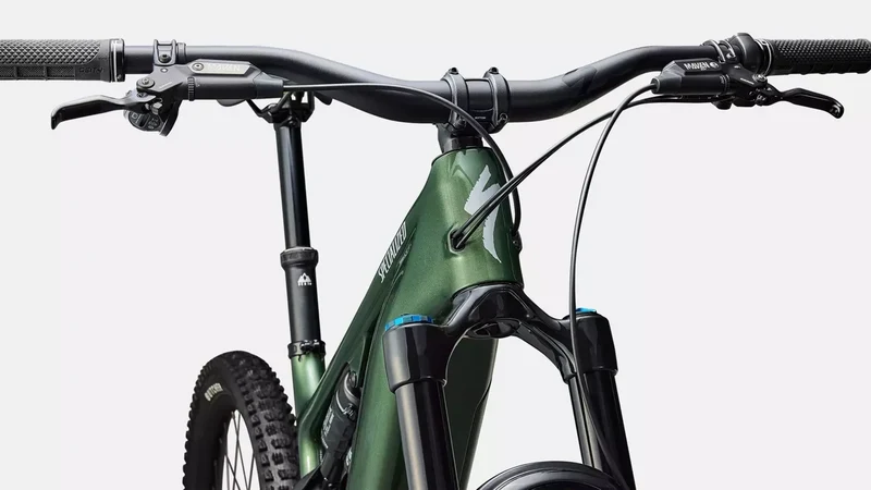 Specialized Levo 4 Expert Carbon CYPRESS METALLIC/SILVER DUST