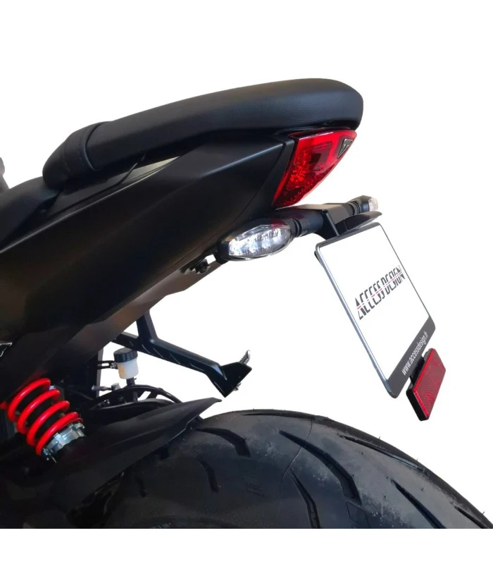 Kennzeichenhalter Triumph Daytona 660