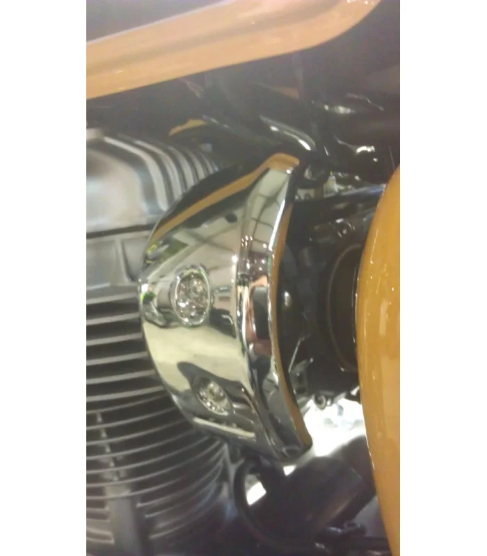 Kawasaki W800 Vergaser-Kurbelgehäuseschutz