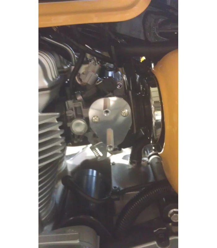 Kawasaki W800 Vergaser-Kurbelgehäuseschutz