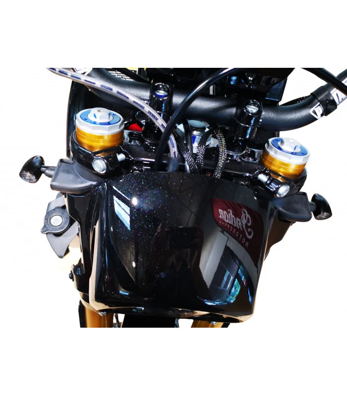 Das vordere Blinkerloch deckt Indian FTR 1200 R CARBON ab