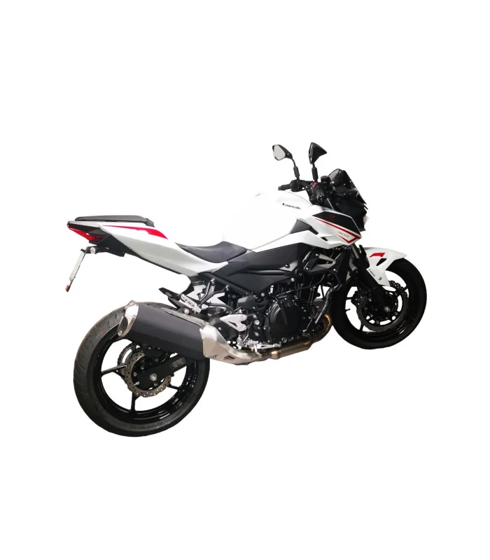Kawasaki NINJA 400 Kennzeichenhalter
