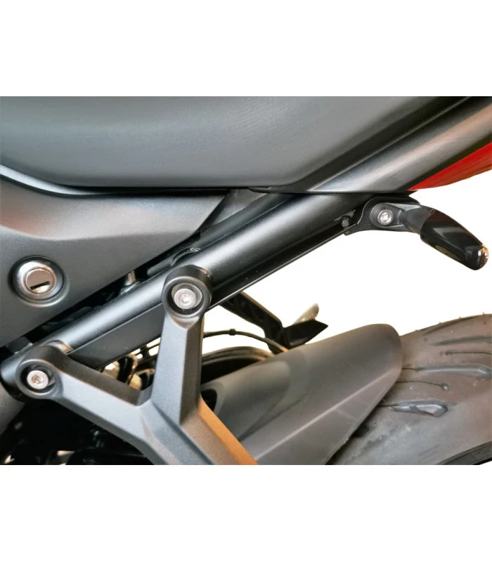 Originaler Blinkerträger Triumph Trident 660