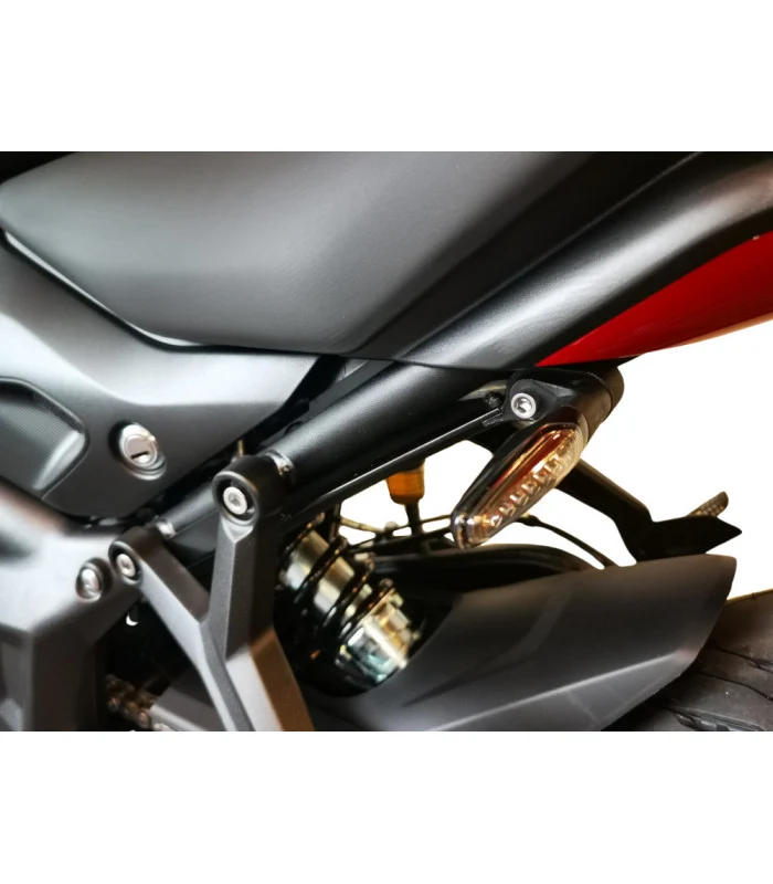 Seitenplattenhalter Triumph Trident 660