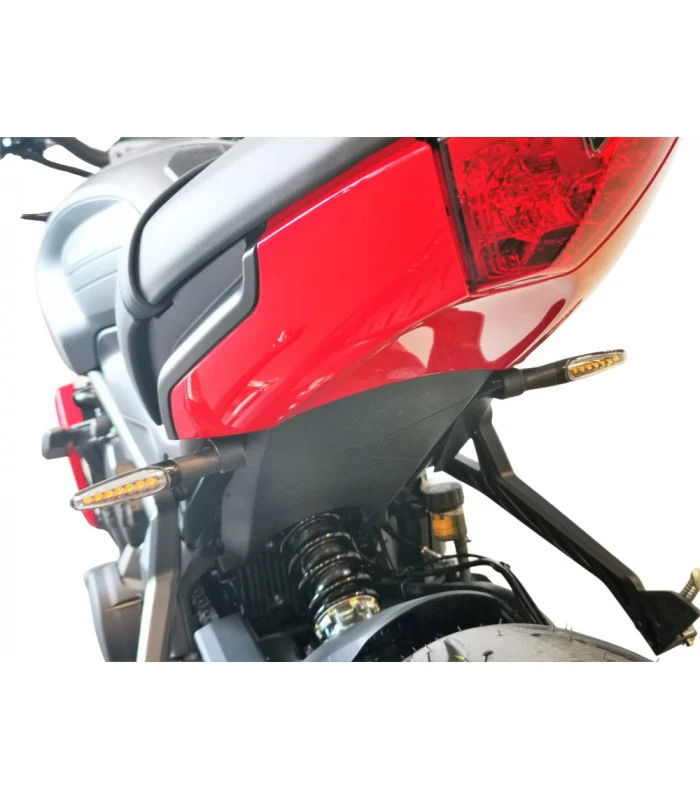 Seitenplattenhalter Triumph Trident 660