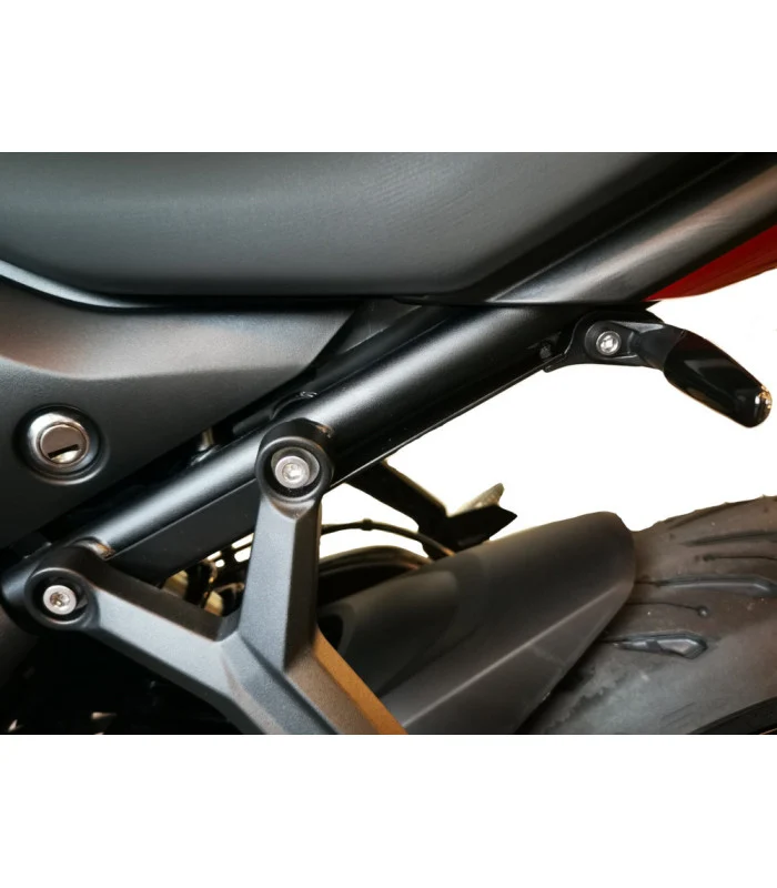 Seitenplattenhalter Triumph Trident 660