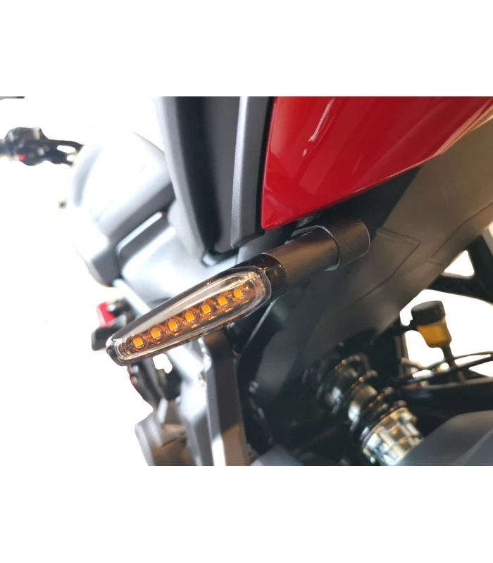 Seitenplattenhalter Triumph Trident 660