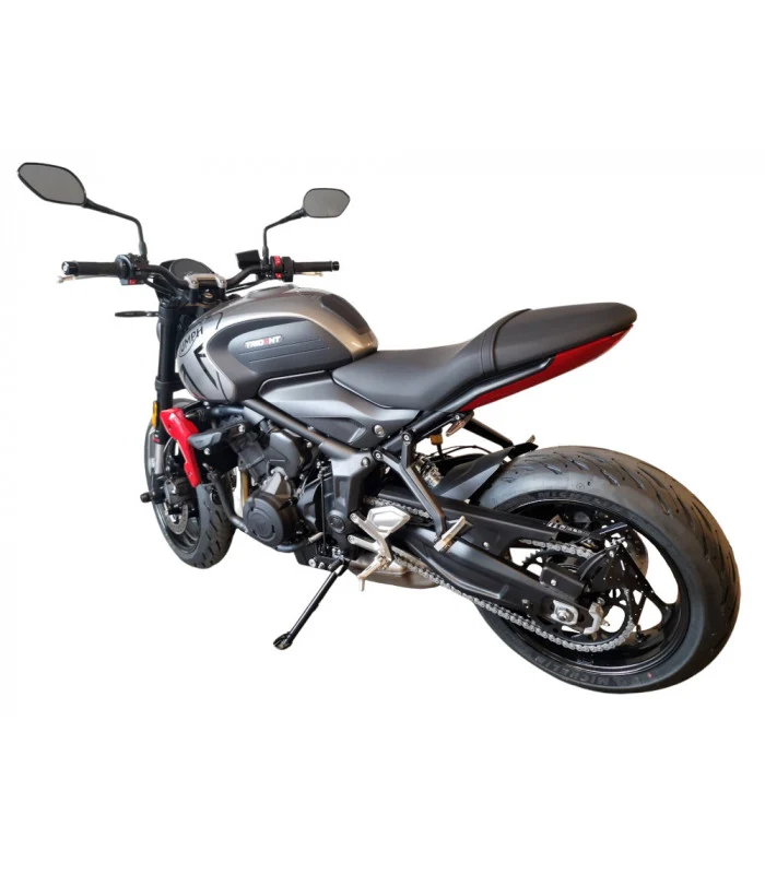 Seitenplattenhalter Triumph Trident 660