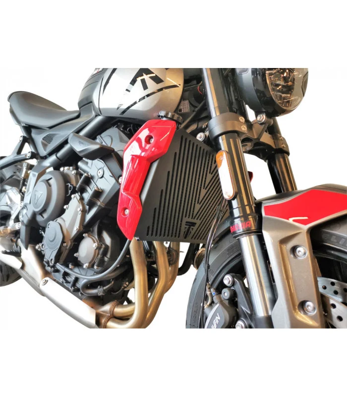 Schutzgitter für Kühler Triumph Trident 660
