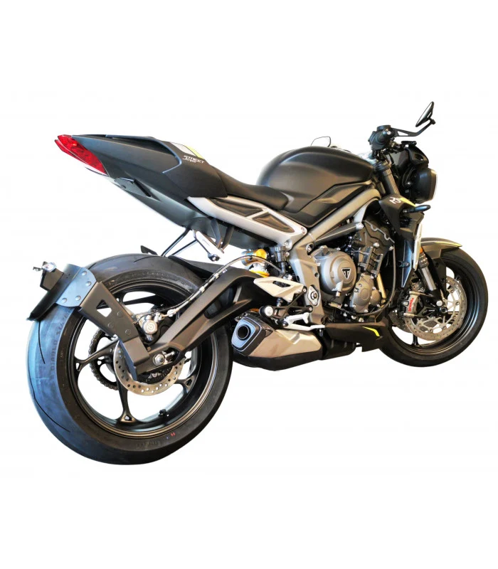 Halterung für Radspülplatte Triumph Straße Triple 660