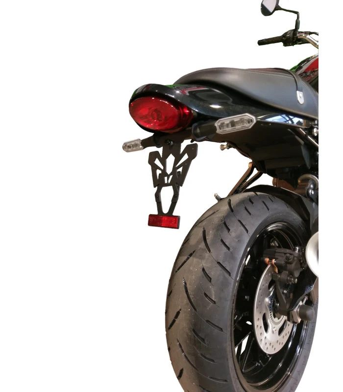 Kawasaki Z900 RS Kennzeichenhalter
