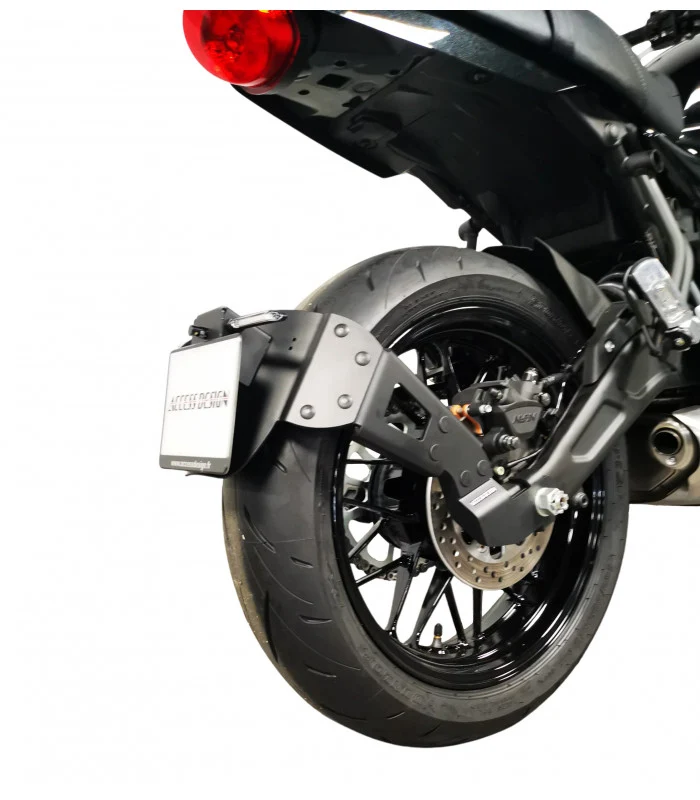 Kawasaki Z650 RS Radspülplattenhalterung