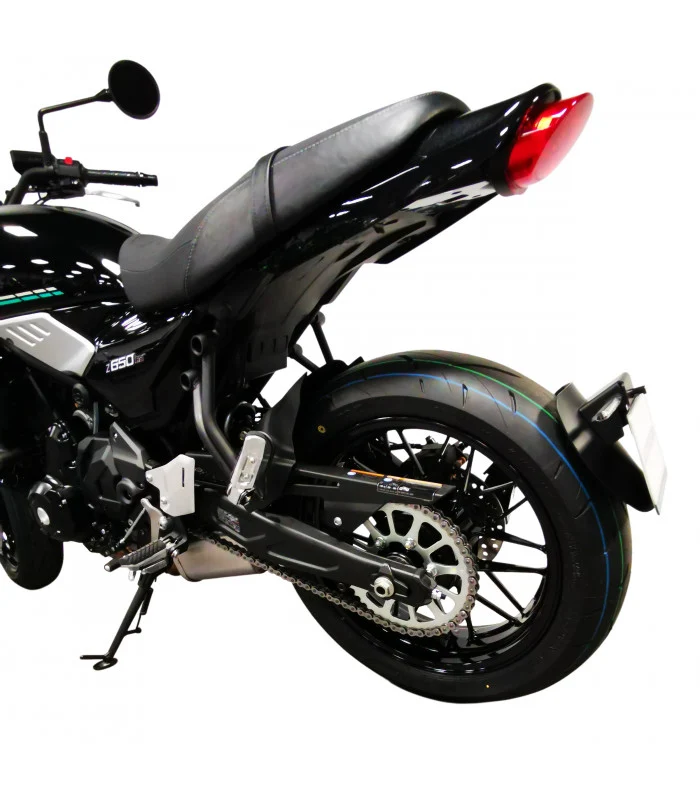 Kawasaki Z650 RS Radspülplattenhalterung