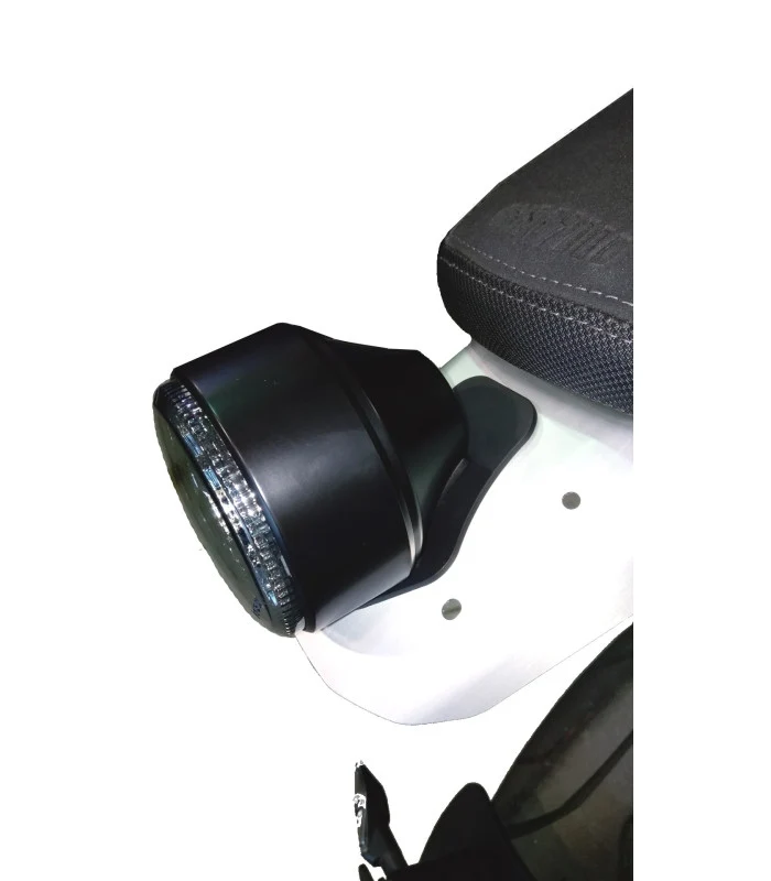 Yamaha XSR 900 Radspülplattenhalterung