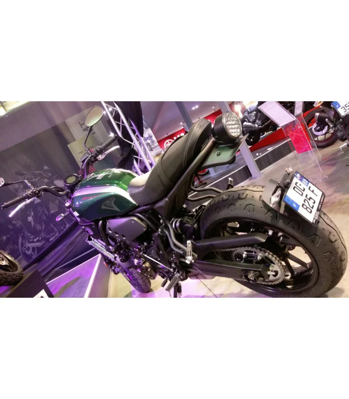 Yamaha XSR 700 Radspülplattenhalterung