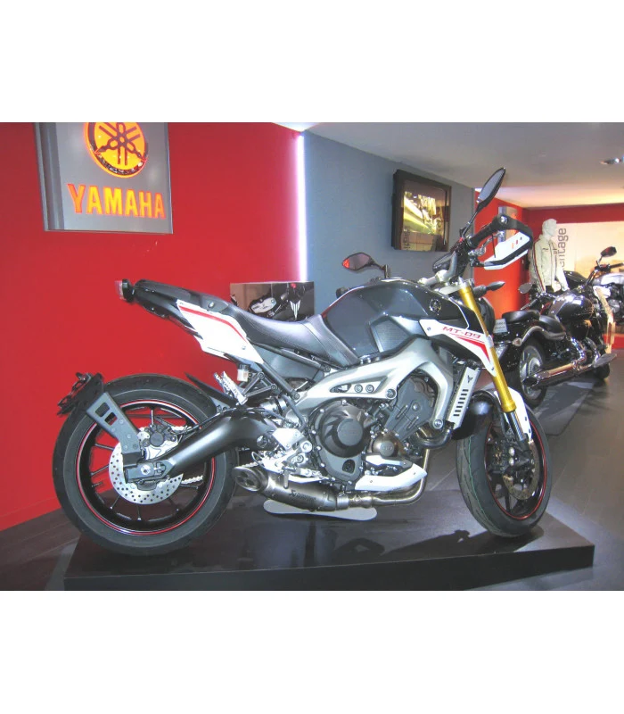 Yamaha MT09 Radspülplattenhalterung