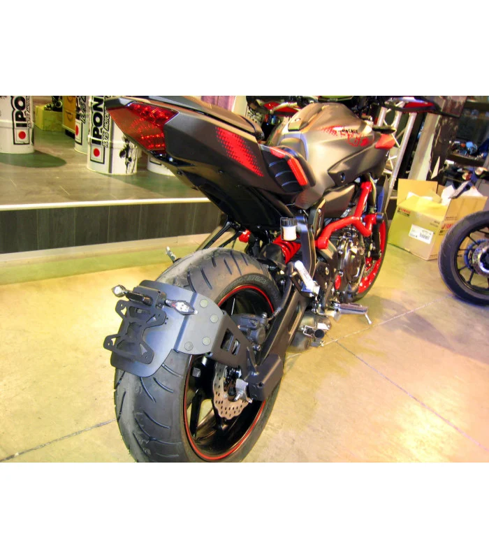 Yamaha MT07 Radspülplattenhalterung