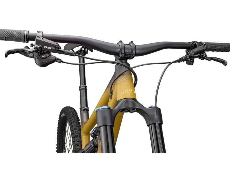Specialized Status 2 170 Hrvgldtnt/Hrvgld/Mnshdw