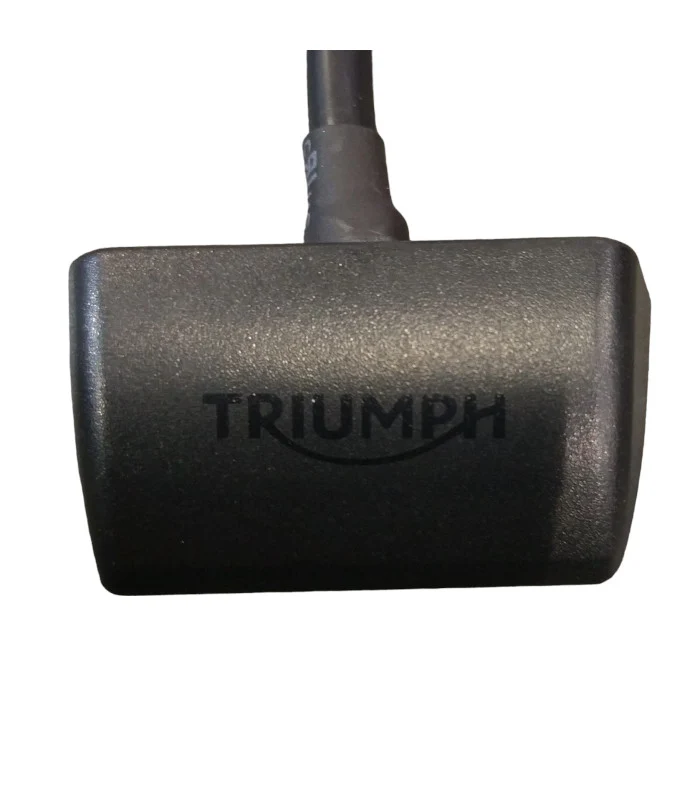 Kennzeichenhalter Triumph Speed ​​Triple 1200 RS