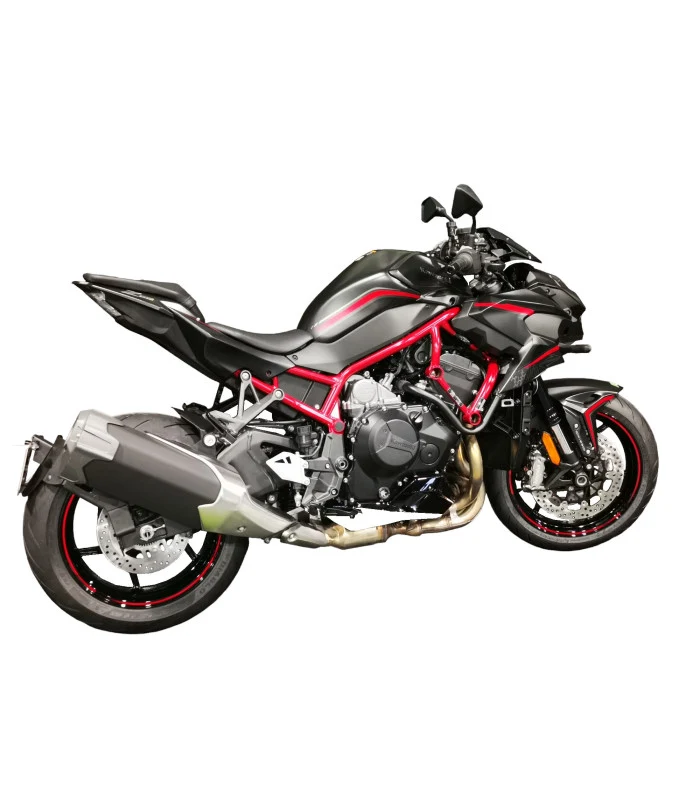 Kawasaki Z H2 Radspülplattenhalterung