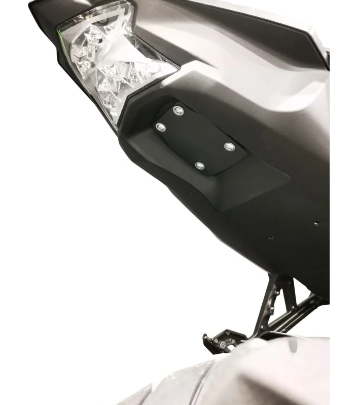 Kawasaki Z H2 Radspülplattenhalterung