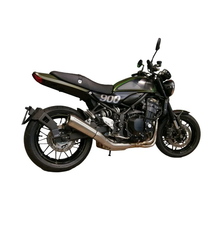 Kawasaki Z900 RS Radspülplattenhalterung