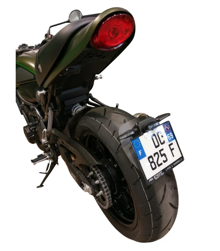 Kawasaki Z900 RS Radspülplattenhalterung