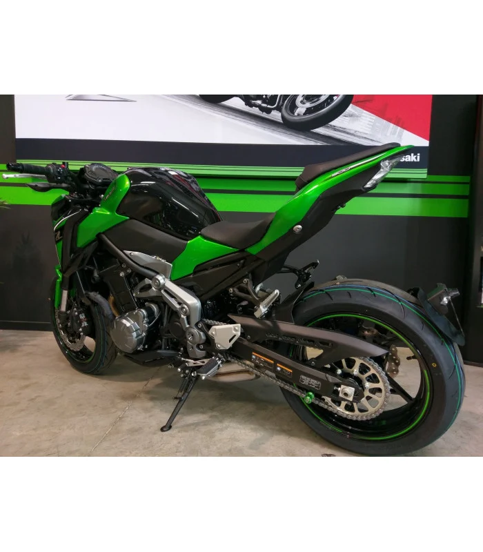 Kawasaki Z900 Radspülplattenhalterung