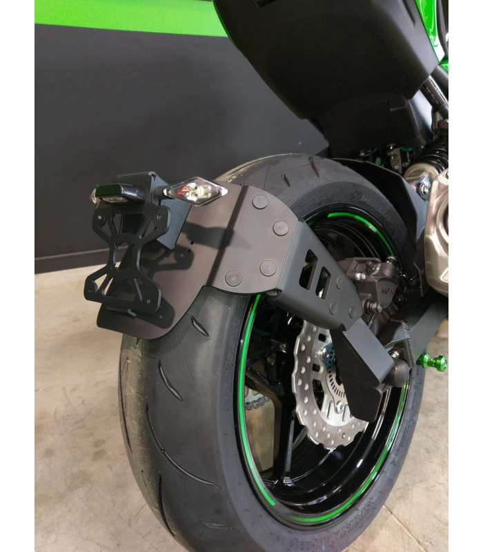 Kawasaki Z900 Radspülplattenhalterung
