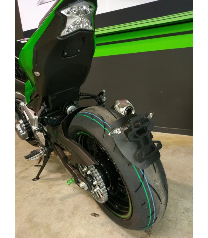 Kawasaki Z900 Radspülplattenhalterung