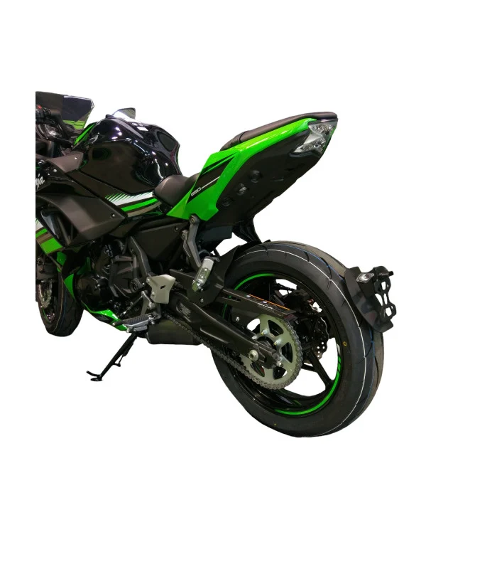 Kawasaki Ninja 650 Radspülplattenhalterung