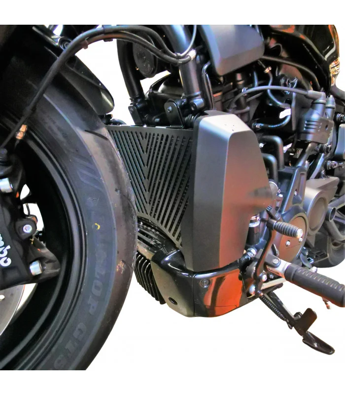 Schutzgitter für Kühler Harley-Davidson Sportster S 1250