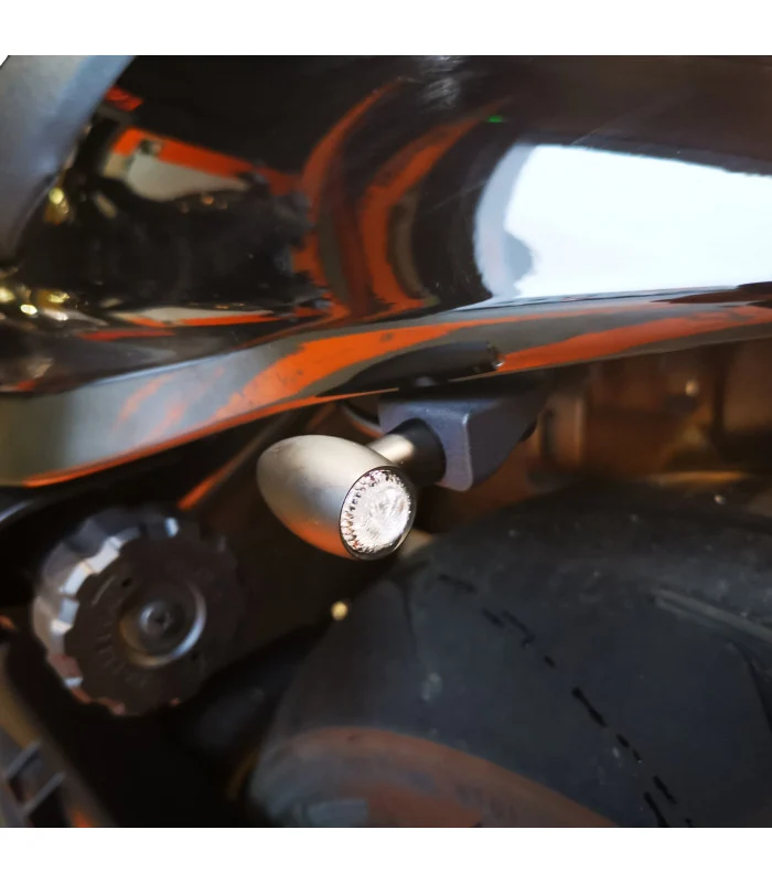Blinker- und Bremslichthalterung Harley-Davidson Sportster S 1250