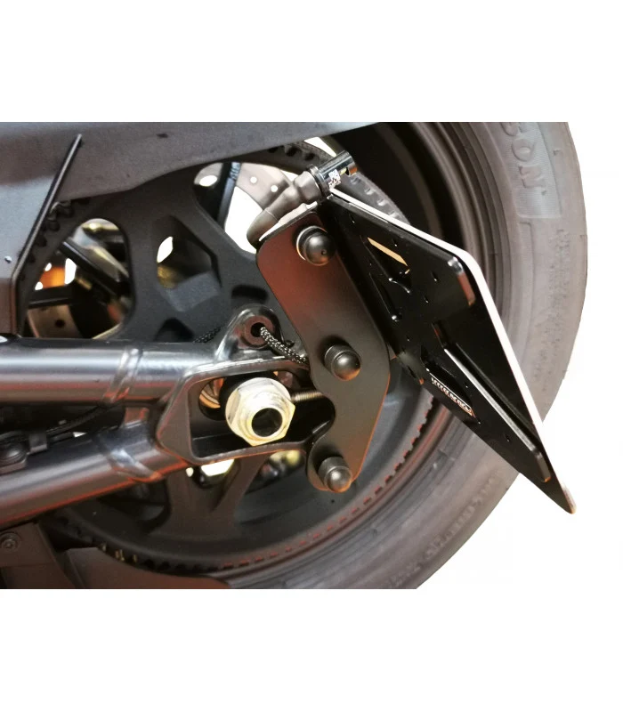 Harley-Davidson Sportster S 1250 Seitenplattenhalter