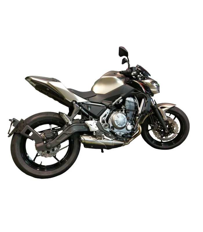 Kawasaki Z650 Radspülplattenhalterung