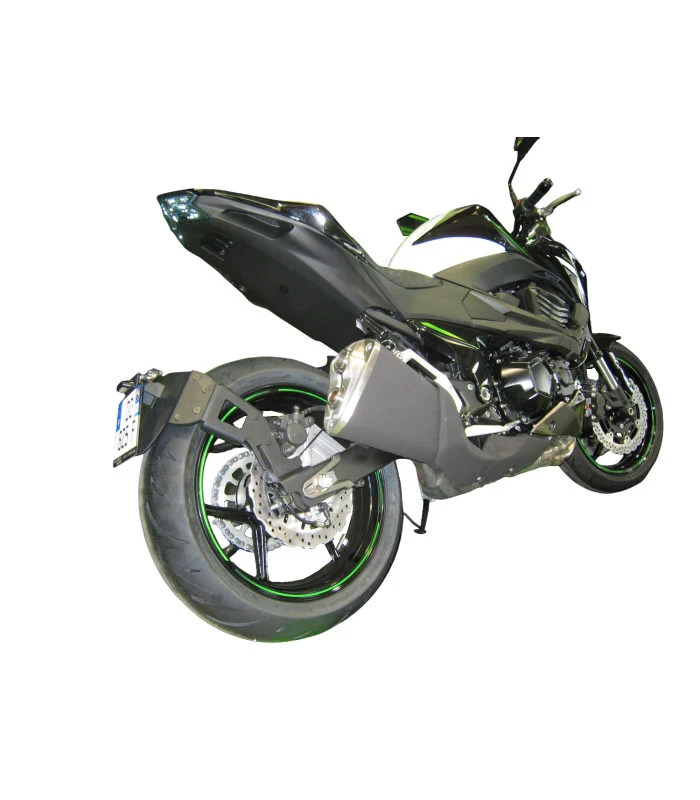 Kawasaki Z750 Radspülplattenhalterung