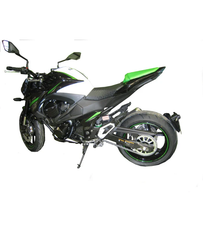 Kawasaki Z800 Radspülplattenhalterung