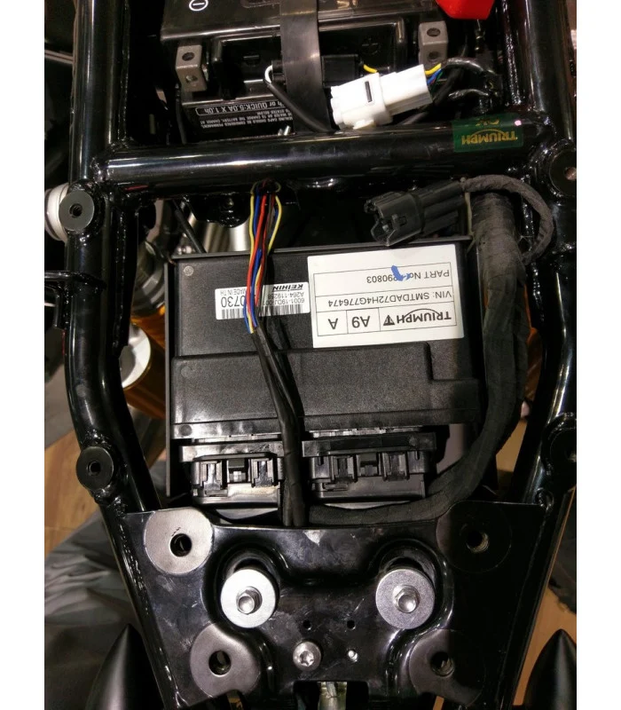 Kennzeichenhalter Triumph Thruxton 1200