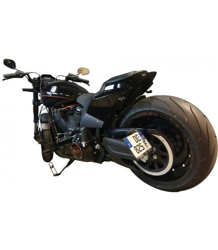 Harley-Davidson Softail FXDR 114 Seitenplattenhalterung
