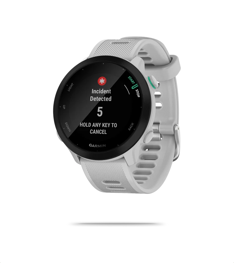 Forerunner 55 GPS Watch