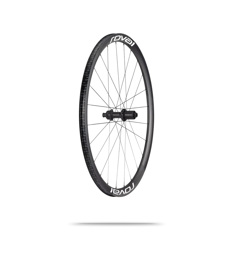 Alpinist CLX II Disc Rear Wheel